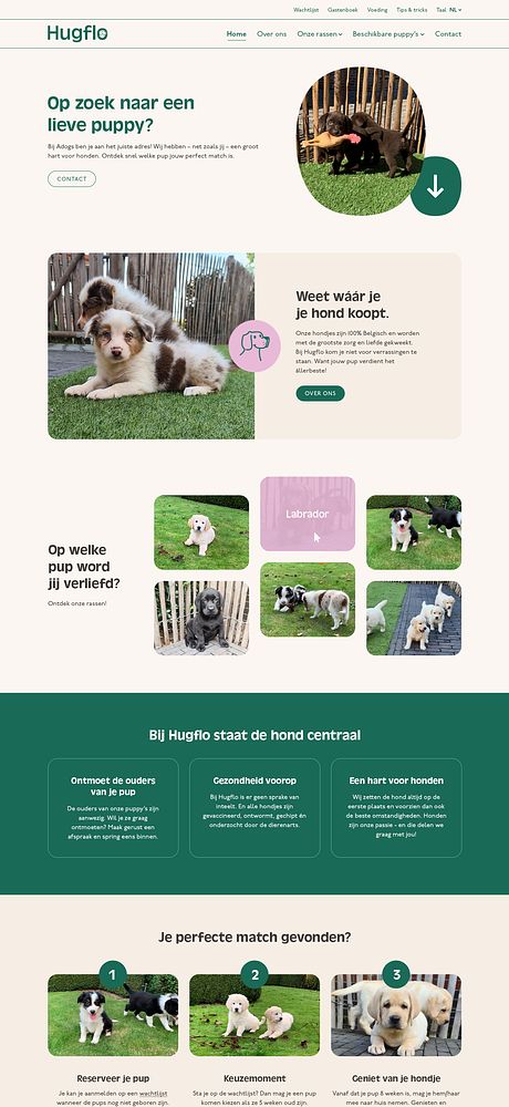 Speelse website waar honden centraal staan